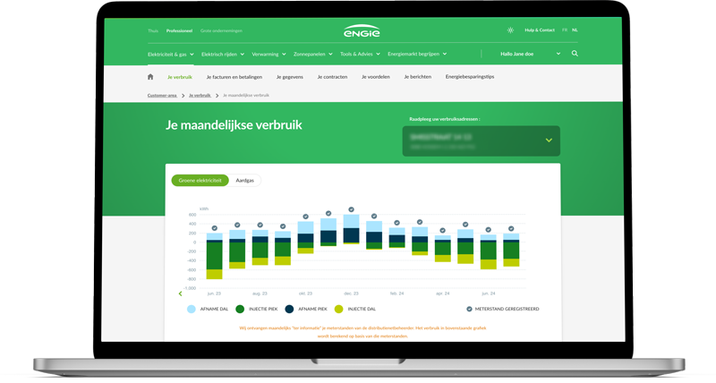 Grafiek die het maandelijkse energieverbruik toont, met duidelijke trends en vergelijking van elektriciteits- en gasverbruik voor beter inzicht en kostenbesparing.